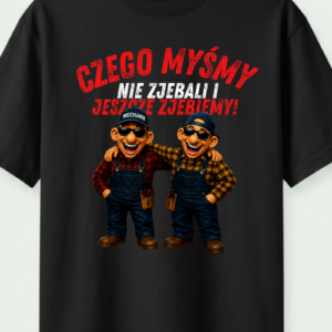 Czego myśmy nie zjebali i jeszcze zjebiemy mechanik